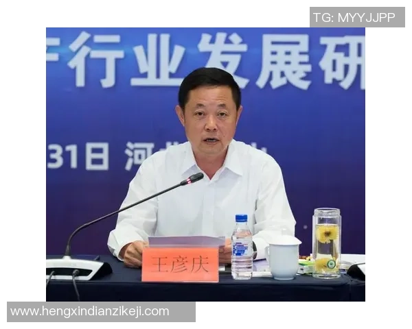 阳城足球厂创新发展之路探讨与未来展望助力地方经济腾飞